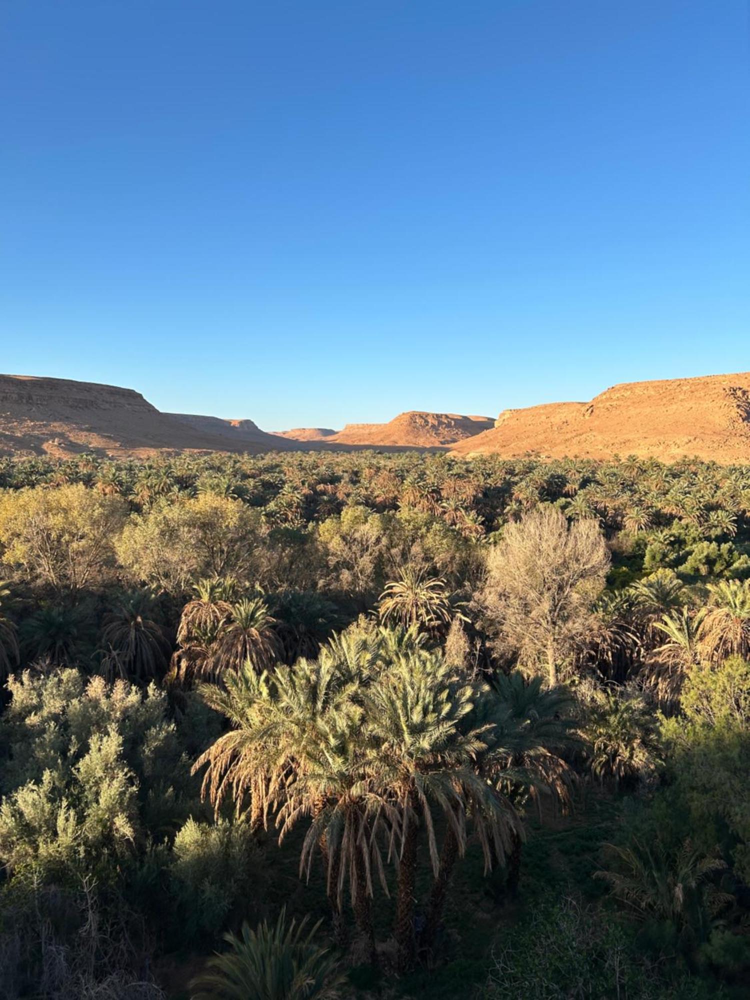 Maison D'Hotes Sahara Aoufous Dış mekan fotoğraf