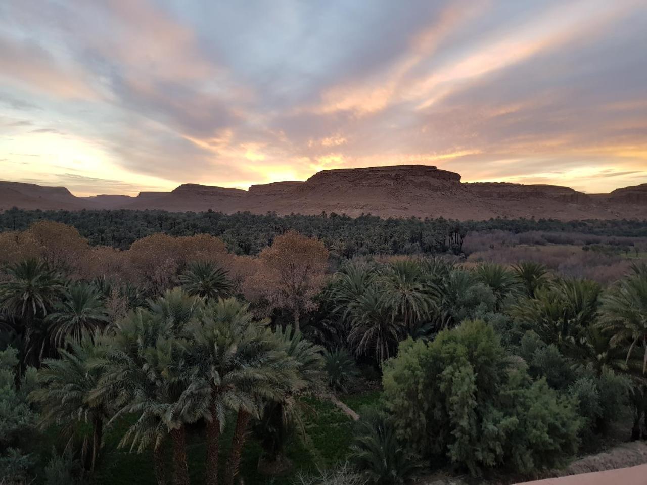 Maison D'Hotes Sahara Aoufous Dış mekan fotoğraf